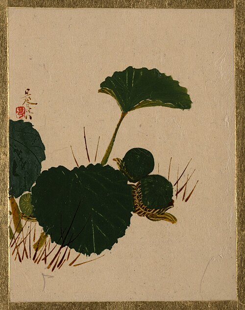 Worm on Green Leaved Plant, 1837, Shibata Zeshin