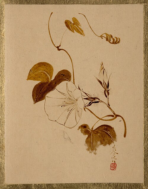 Morning Glory, 1837, Shibata Zeshin