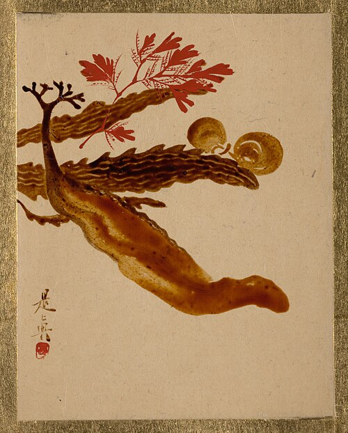 Seaweed, 1837, Shibata Zeshin
