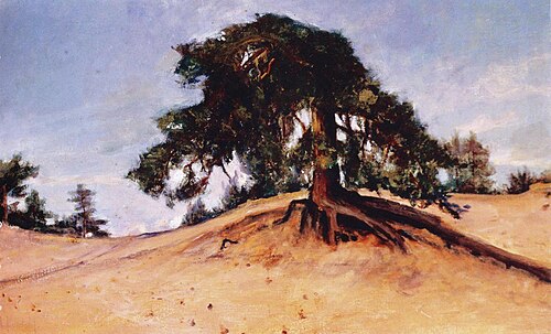 A broken pine (Lappvik), 1898, Amélie Helga Lundahl