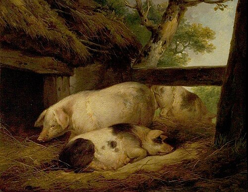 Study of Pigs, , George Morland