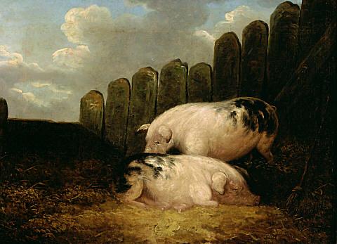 Pigs, , George Morland