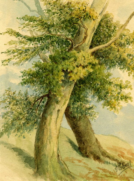 Študija dreves, 1870, Alojz Eberl