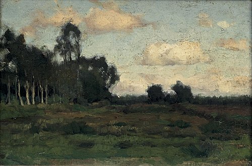 Gezicht op de heide bij Rolde, 1882, Anthon van Rappard