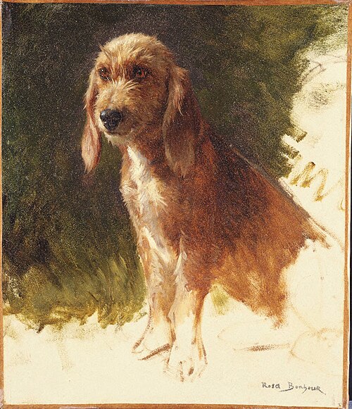 Study of a Dog, , Rosa Bonheur