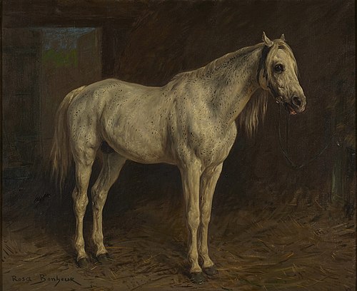 White Horse, , Rosa Bonheur