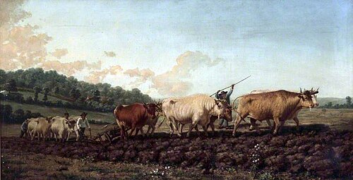 Ploughing in the Nivernais, 1842, Rosa Bonheur