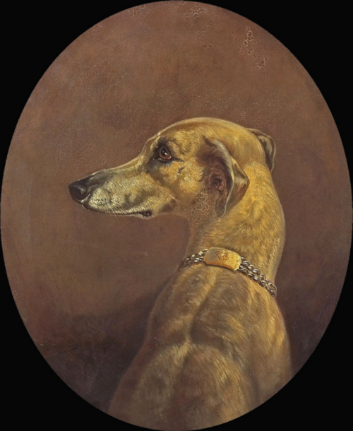 Portrait of a Greyhound Dog, 1866, Rosa Bonheur