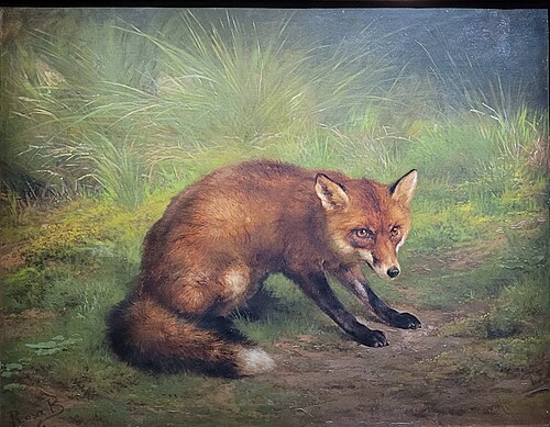 Étude de renard, 1854, Rosa Bonheur