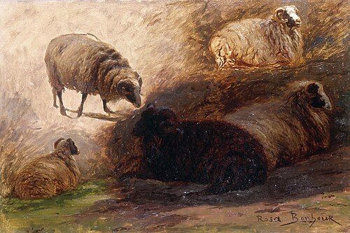 Esquisse de moutons, 1862, Rosa Bonheur