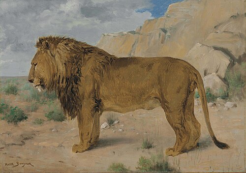 Study of a Lion, , Rosa Bonheur