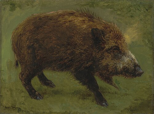 Le sanglier, , Rosa Bonheur