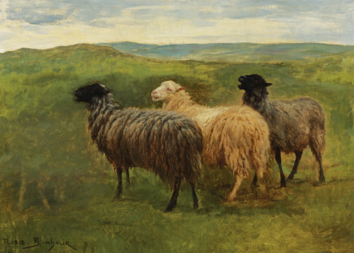 Three Sheep in a Landscape, 1900, Rosa Bonheur