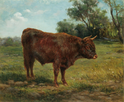 Longhorn Bull in a Landscape, 1900, Rosa Bonheur