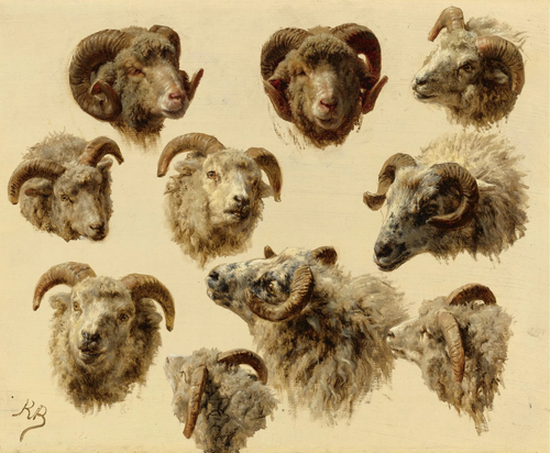 Study of Rams' Heads, 1900, Rosa Bonheur