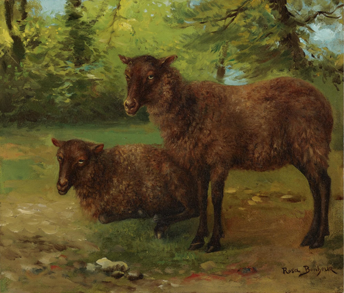 A Pair of Black Sheep, 1900, Rosa Bonheur