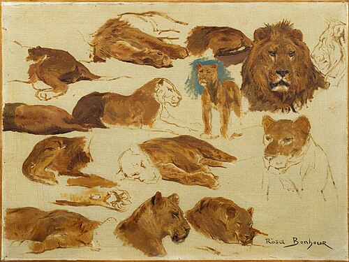 Esquisses de lions et lionnes, 1900, Rosa Bonheur