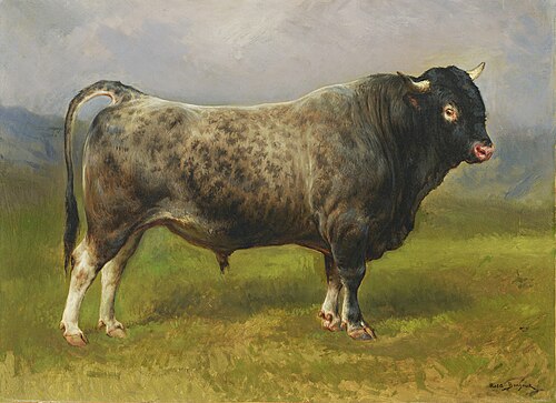 Le taureau gris, 1900, Rosa Bonheur