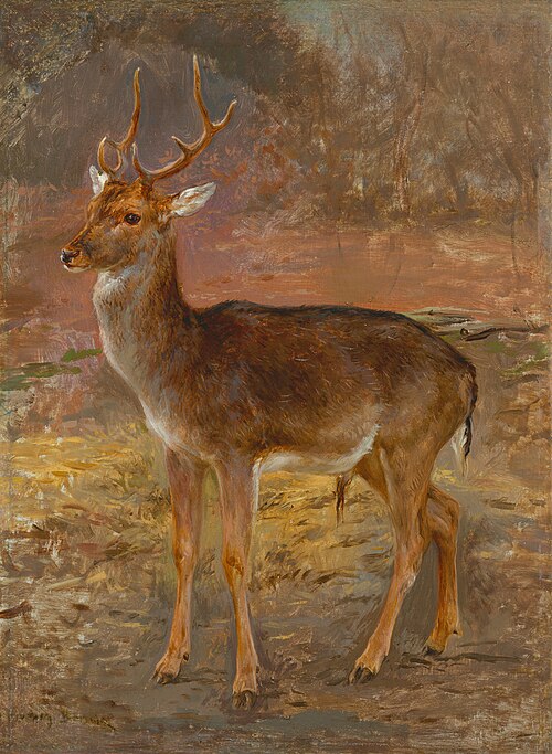 Cerf, 1900, Rosa Bonheur