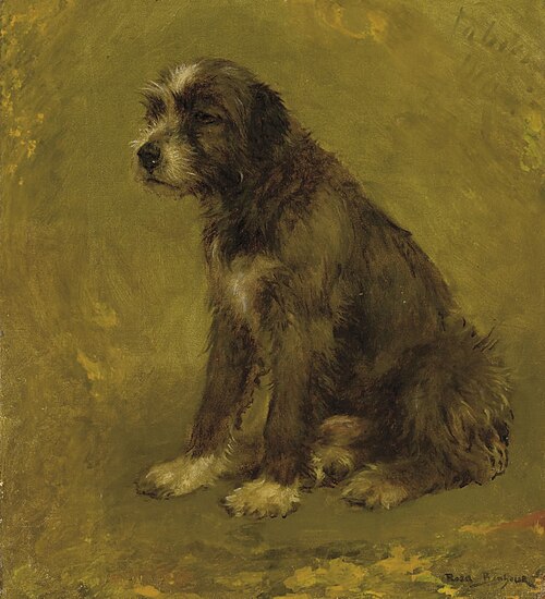 Chien de berger, assis, 1900, Rosa Bonheur