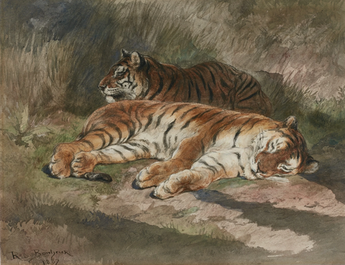Two recumbent tigers, 1900, Rosa Bonheur