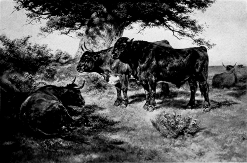 The Steers, 1900, Rosa Bonheur