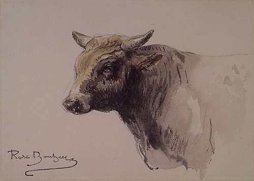 Head of a Bull, 1900, Rosa Bonheur
