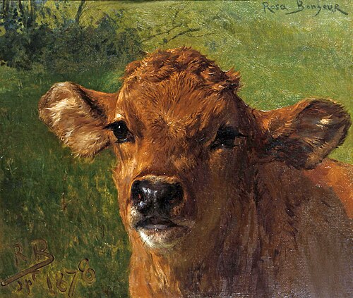 Chef d'un veau, 1878, Rosa Bonheur