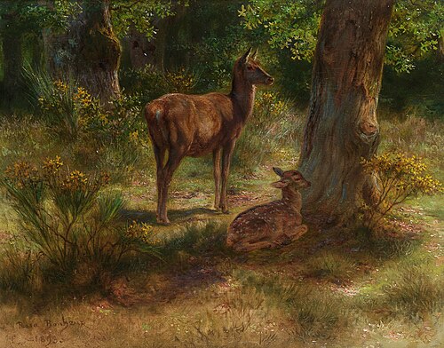 Cerf et faon dans un bois, 1893, Rosa Bonheur