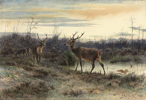 Cerfs dans la forêt de Fontainebleau, 1862, Rosa Bonheur