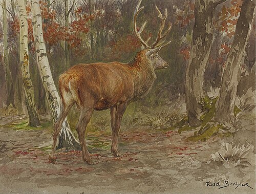 Cerf vigilant, 1883, Rosa Bonheur