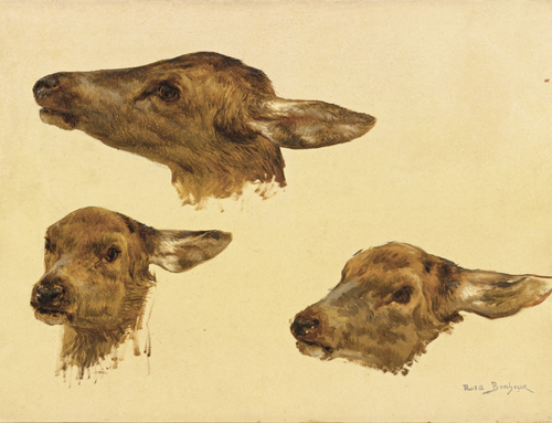 Three Studies of a Doe's Head, 1870, Rosa Bonheur