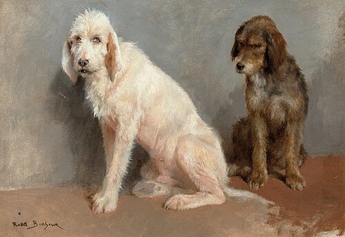 Study of two dogs, 1900, Rosa Bonheur