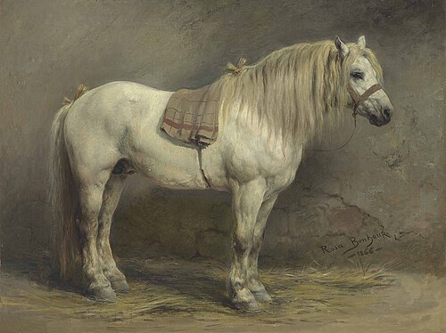A White Horse, 1860, Rosa Bonheur