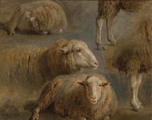 A Study of Sheep, 1900, Rosa Bonheur