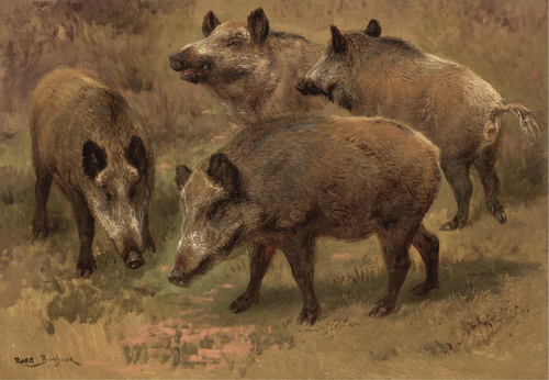 Four Boars in a Landscape, 1900, Rosa Bonheur
