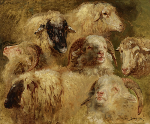 Heads of Sheep and Rams, 1900, Rosa Bonheur