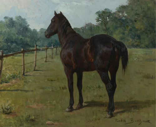 A Bay Horse in a Paddock, 1900, Rosa Bonheur