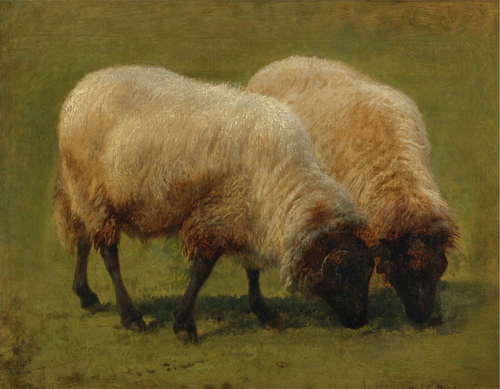 Two Black Face Sheep Grazing, 1900, Rosa Bonheur