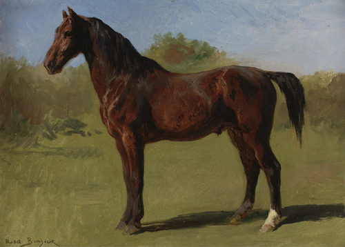 Study of a Brown Bay Horse, 1900, Rosa Bonheur