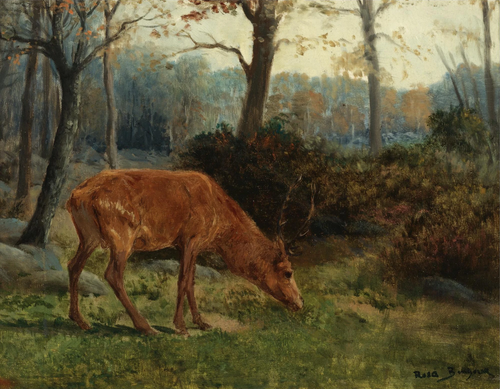 A Deer Grazing, 1900, Rosa Bonheur