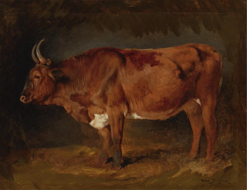 A Brown Cow in Profile, 1900, Rosa Bonheur