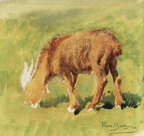 Study of a Goat, 1900, Rosa Bonheur