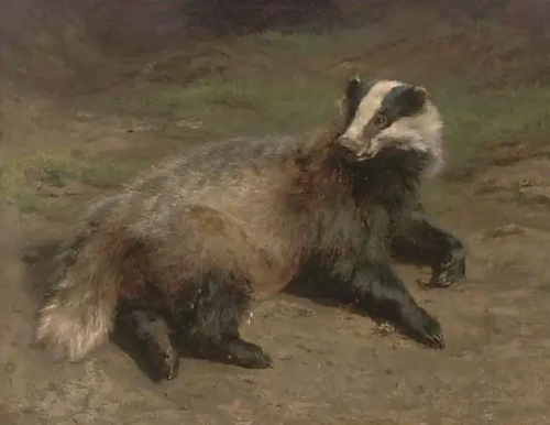 A resting badger, 1900, Rosa Bonheur