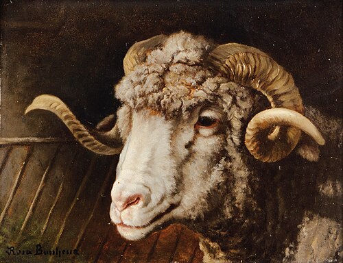 Head of a ram, 1900, Rosa Bonheur