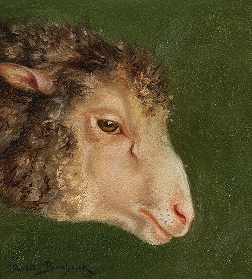 Head of an Ewe, 1900, Rosa Bonheur