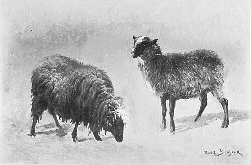 Deux moutons dans le pâturage, 1900, Rosa Bonheur