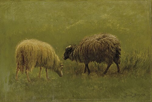 Étude de moutons, 1900, Rosa Bonheur