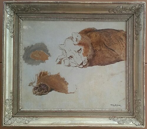Étude de lionne, 1900, Rosa Bonheur