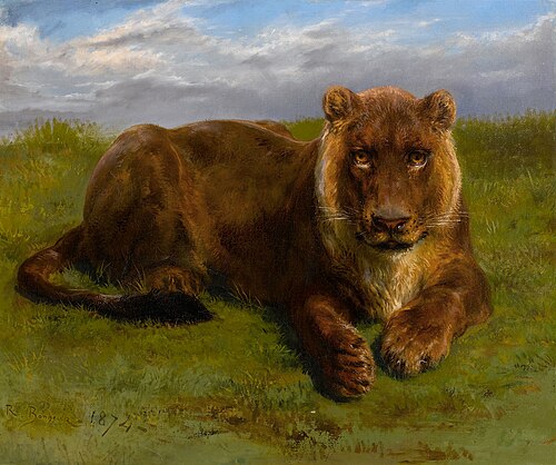 Lioness Posing, 1874, Rosa Bonheur